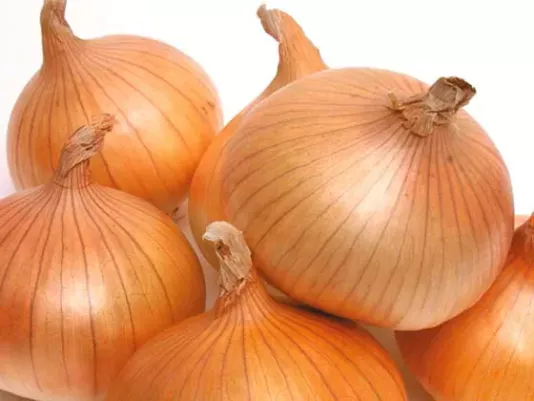 Onion – recipe ingredient