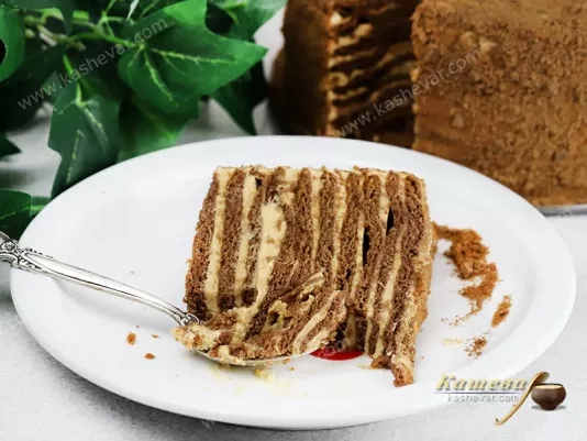 Honey cake with cocoa and sour cream – recipe with photos, confectionery