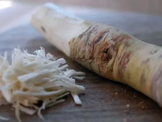 Horseradish – recipe ingredient
