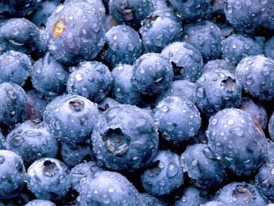 Blueberries – recipe ingredient