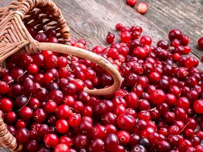 Cranberries – recipe ingredient