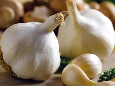 Garlic – recipe ingredient