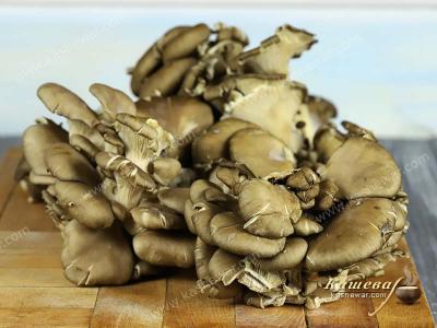 Oyster Mushroom – recipe ingredient