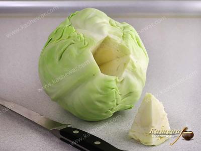White cabbage before processing