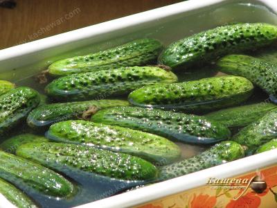 Preparing cucumbers for pickling