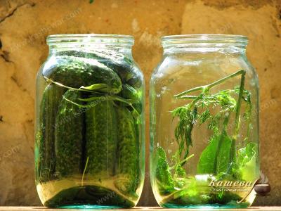 Placing spices, leaves and cucumbers in jars