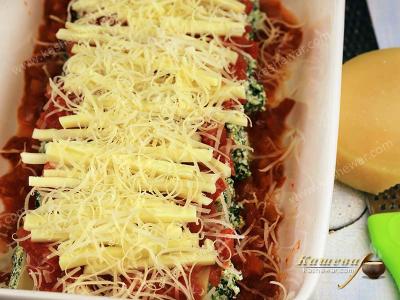 Rolls of lasagna with cheese