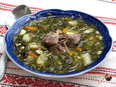 Green borscht – recipe with photo, Ukrainian cuisine