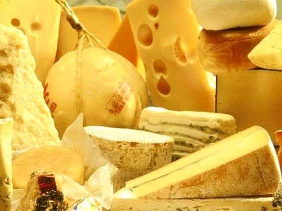Hard cheese – recipe ingredient