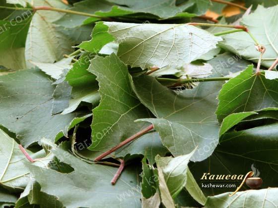 Виноградные листья – ингредиент рецептов
