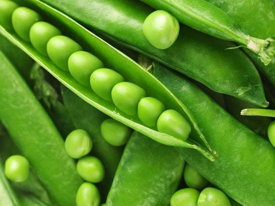 Зеленый горошек – ингредиент рецептов